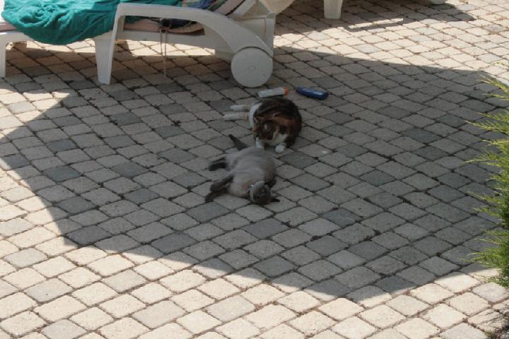 2012-08 008.JPG
